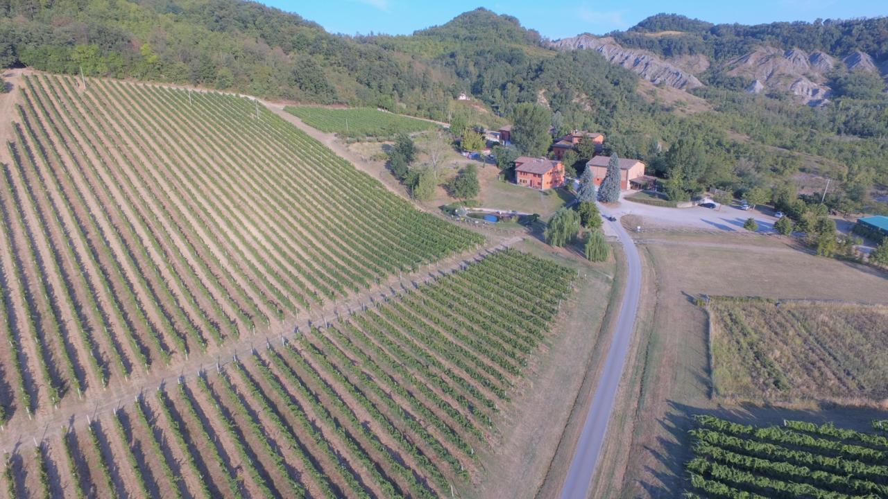 Corte D'Aibo Monteveglio Eksteriør billede